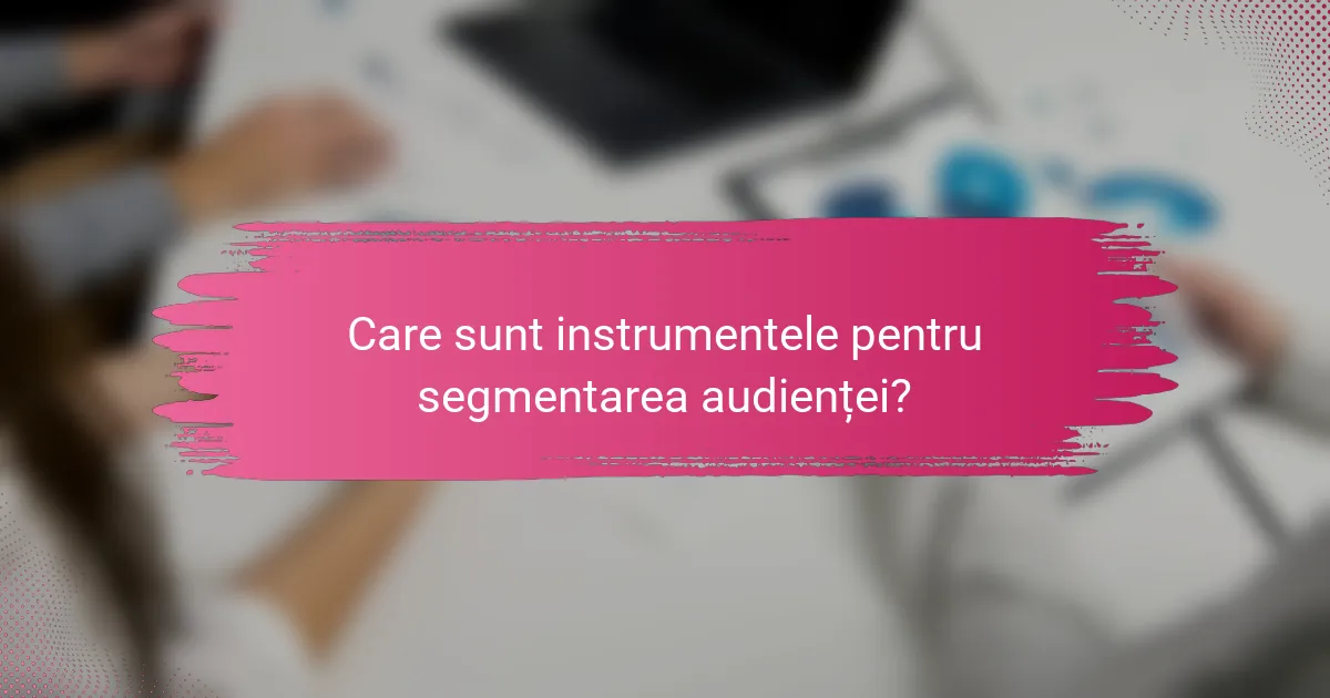Care sunt instrumentele pentru segmentarea audienței?